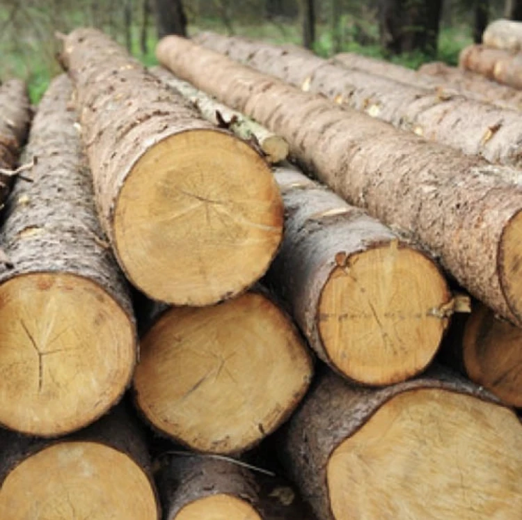 Bulk Sawn Timber. Lumber Iroko Wood For Sale