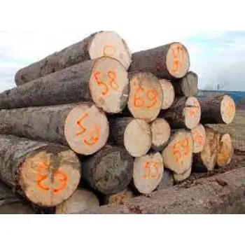 download (23).jfif.jpg