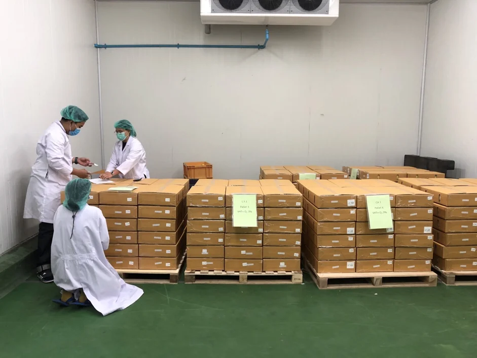 Лучший продавец свежее манго премиум класса из Таиланда от SP Organic International