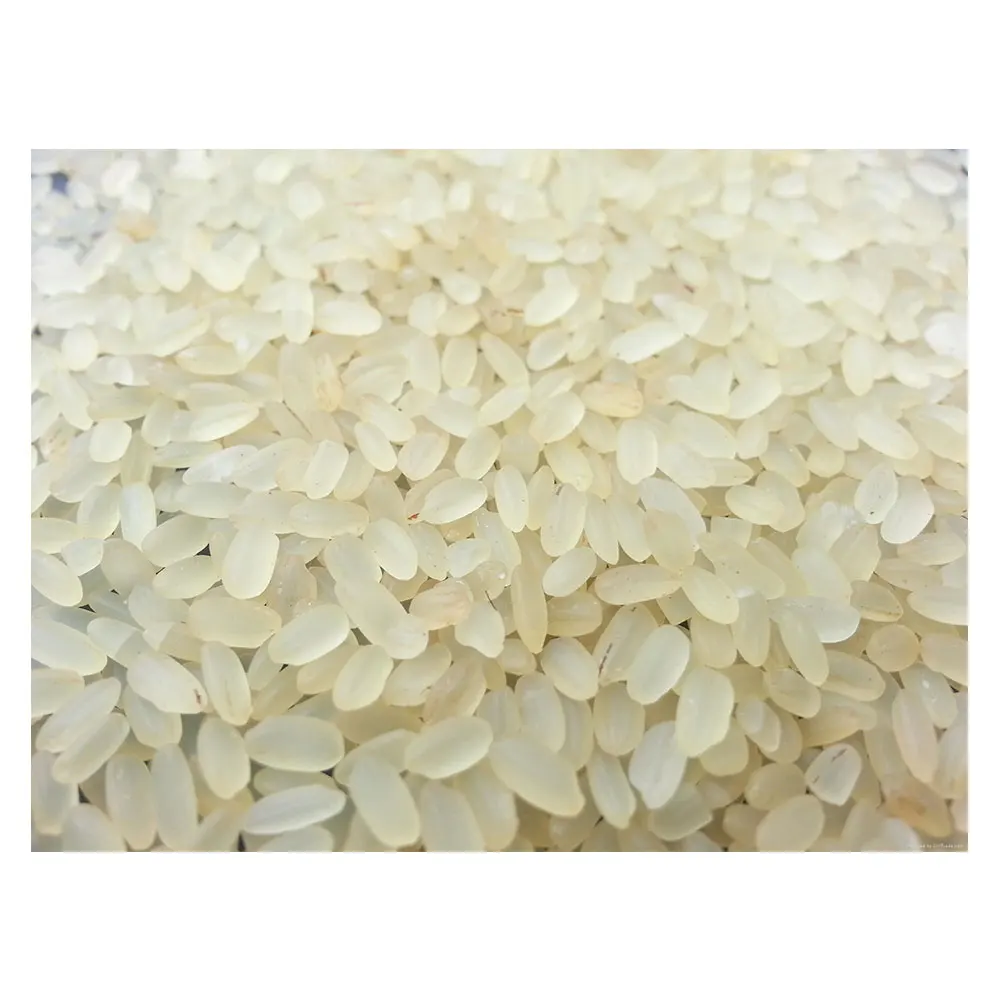 Round Grain or Medium Grain Parbolied Rice 5% Broken Round Rice at Market Price