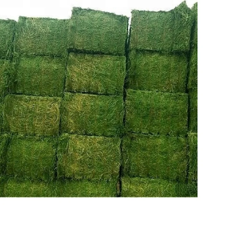 We Sell Top Quality Premium Alfalfa Hay, At Low Price