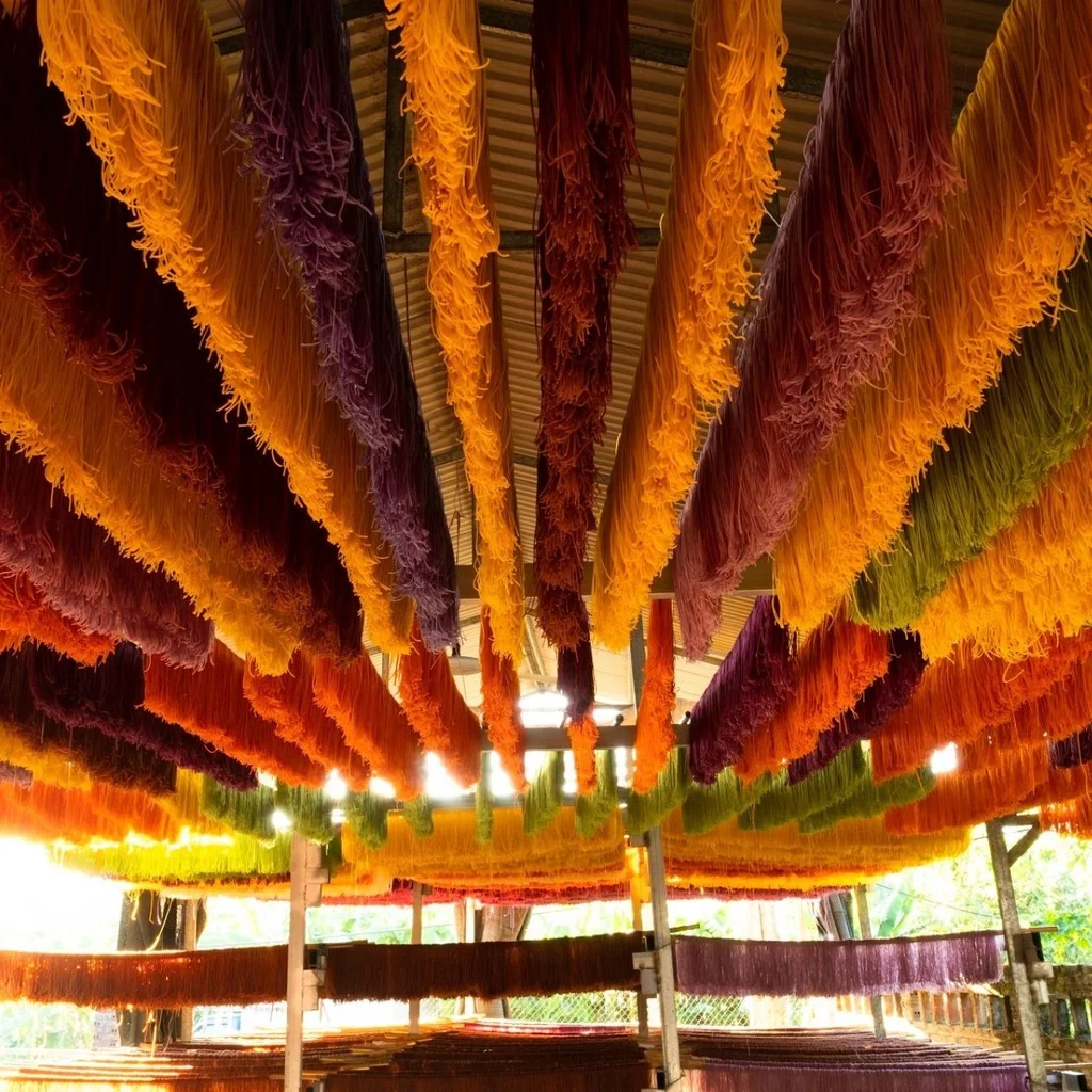 Large quantity - Handmade dry rice vermicelli - Dried rice vermicelli 500g pack is tough and flexible // Amber +84383004939