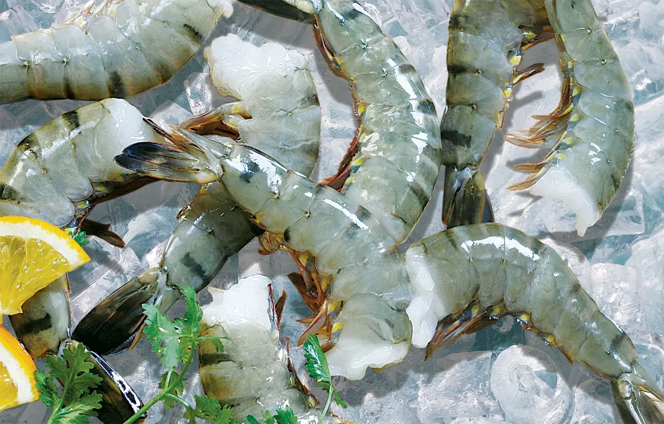 White leg shrimp PD deveined with good price