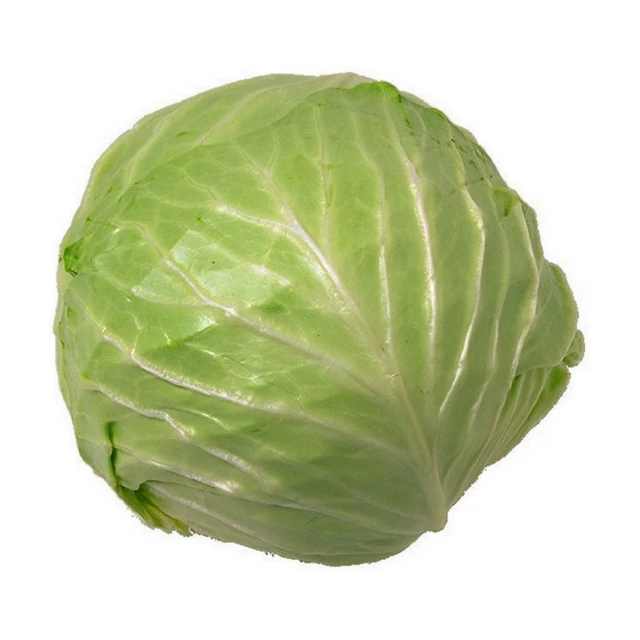 Заводская поставка свежих овощей свежая круглая капуста французская цена на продажу