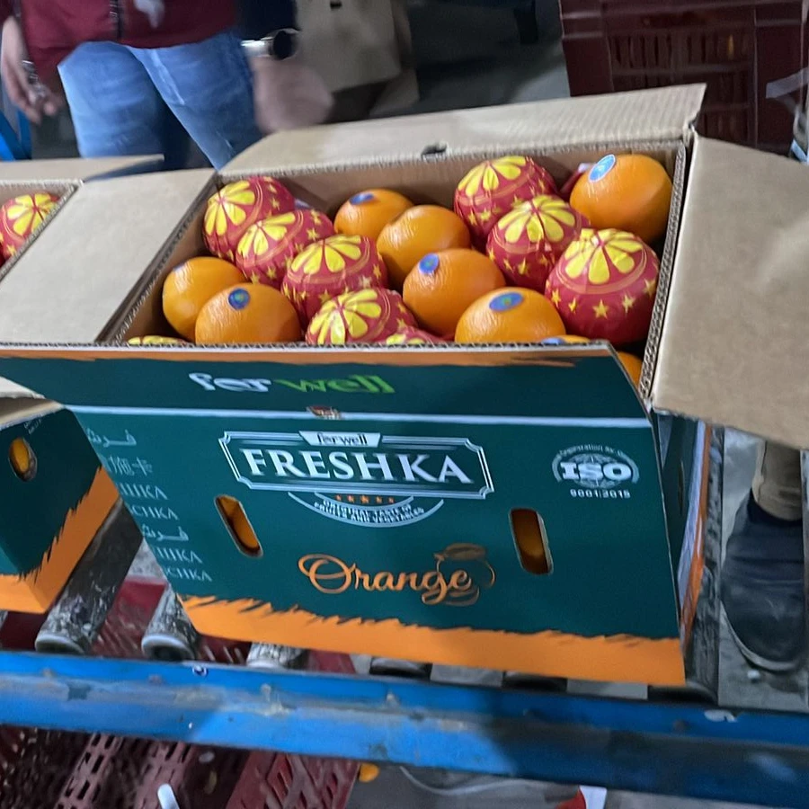 For well Orange fruit