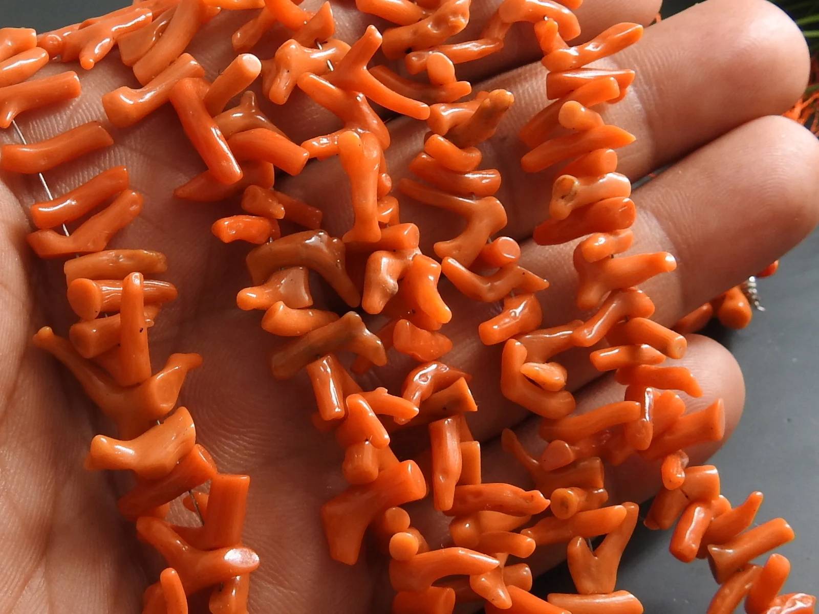 Natural Orange Coral Polished Rough Stick Branches Loose Bead Gemstone Raw 10Inch 12X3To7X3MM Approx Wholesaler Supplies