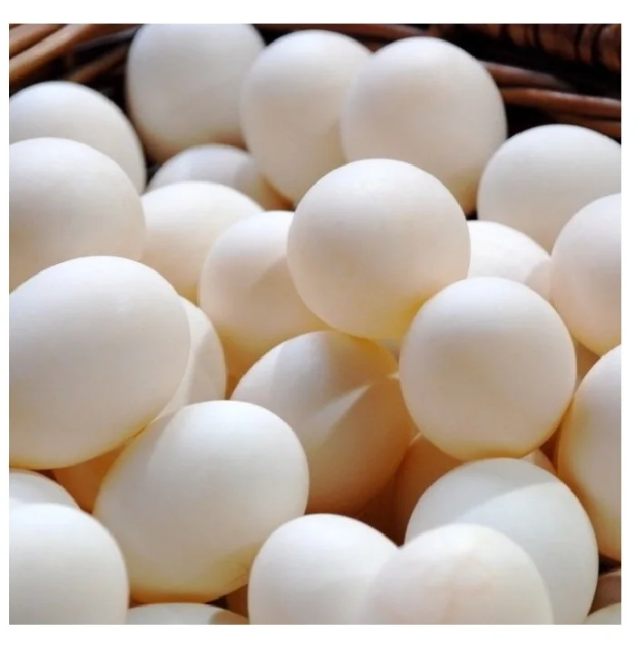 Best FOB Price for Fresh White Egg Food Chicken Carton Box from USA Round Table Egg
