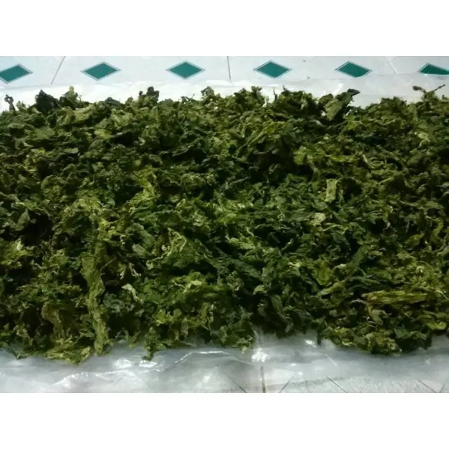 Bulk Organic Green Seaweed for Livestock Feed Sea cabbage/Hana +84 901 006 904