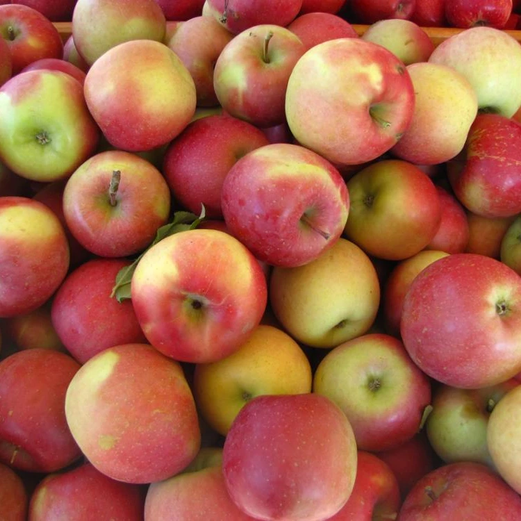 Свежие Яблоки Южной Африки/Королевский торжество/красный вкус/бабушка Смит по хорошей