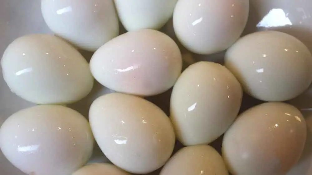 Высококачественное консервированное перепеловое яйцо по лучшей цене, перепеловое яйцо Ms Sophie