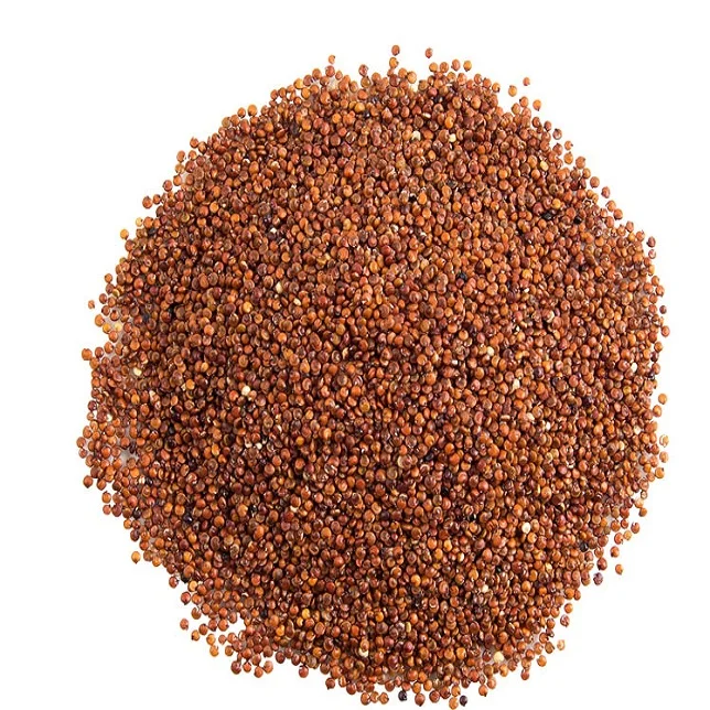 100% natural pure conventional red quinoa seeds