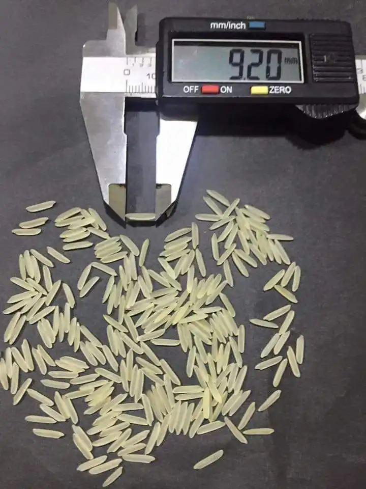 1121 Golden Sella Basmati Rice For Sale