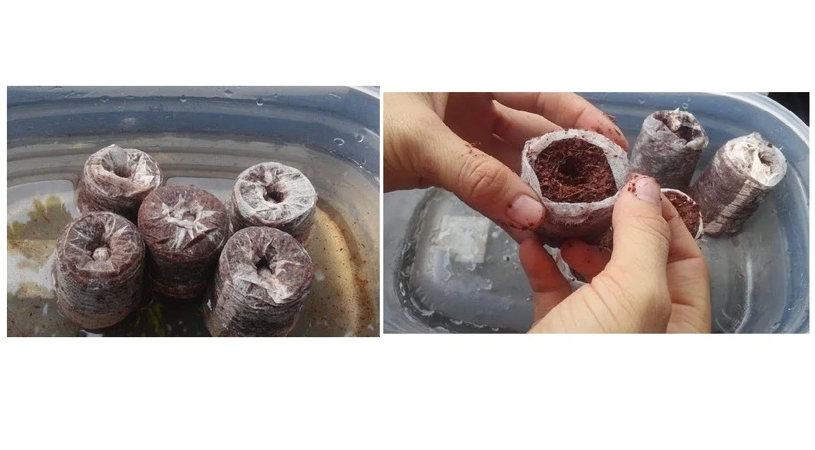 20 шт. кокосовые волокна вилки оптовая продажа койра гранулы кокосовый торф гранул для выращивания растений