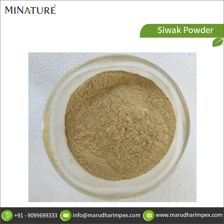 Factory Direct Supply Superior Quality Best Selling 100% Pure and Natural Siwak Powder for Wholesale Purchase