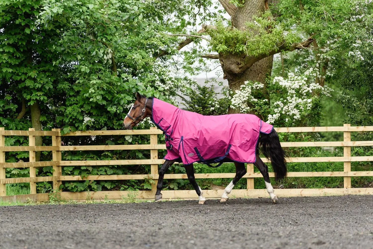 Luxury Lightweight Turnout Rug Full Neck Waterproof Winter Horse Riding rug