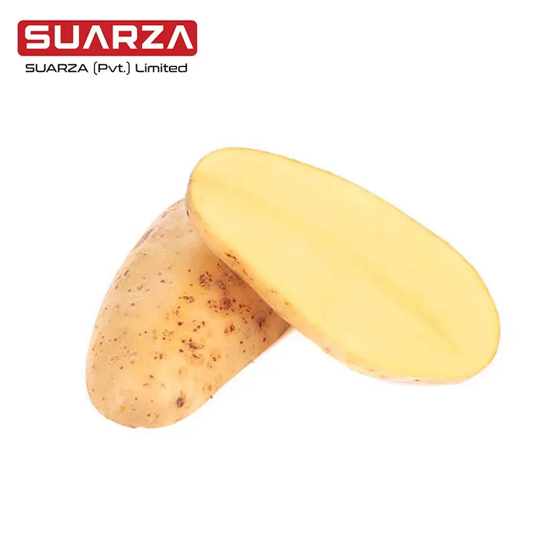 Pakistani Fresh Vegetable Potato/ Fresh Harvest fresh potato