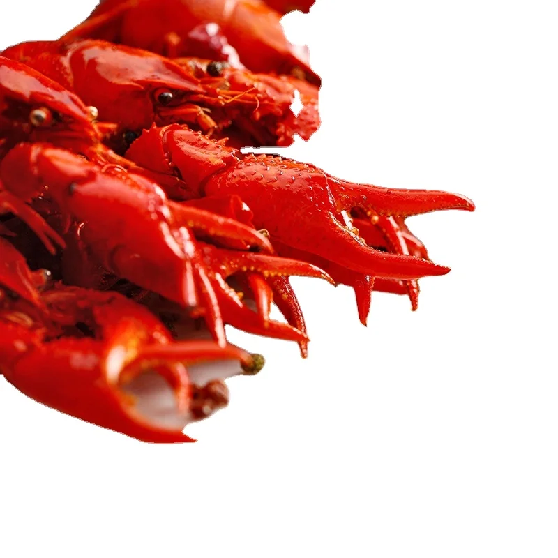 Fresh Frozen Lobsters, Raw Lobsters, Live Lobsters with Highest Export Quality