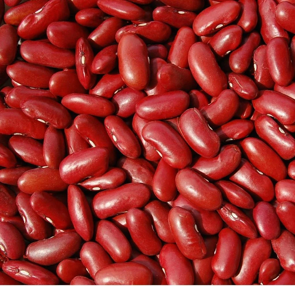 Red kidney beans  dsst