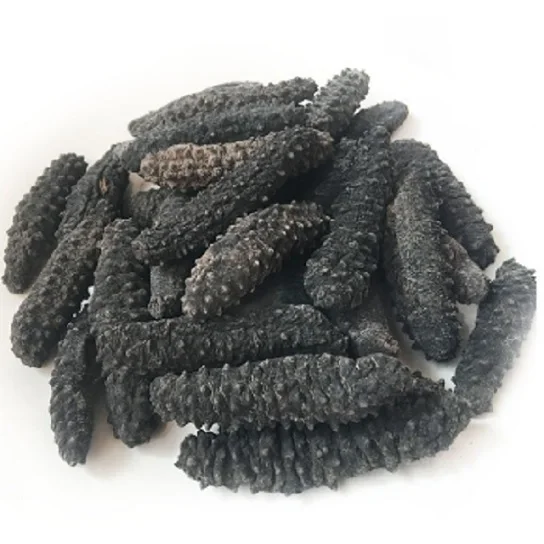 Dried sea cucumber High quality and Best price (10000005100668)