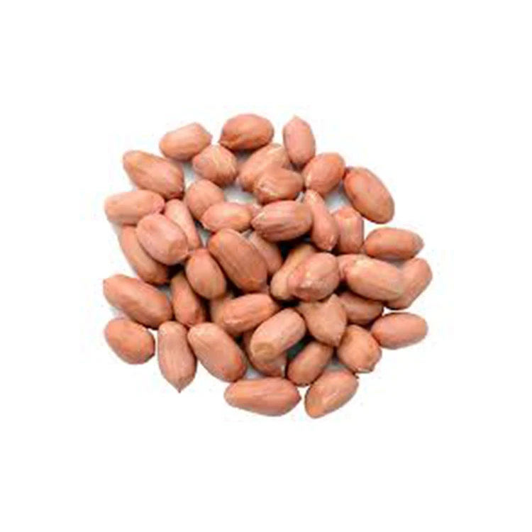 
Raw Type Bold Peanuts/Groundnuts Supplier from India 