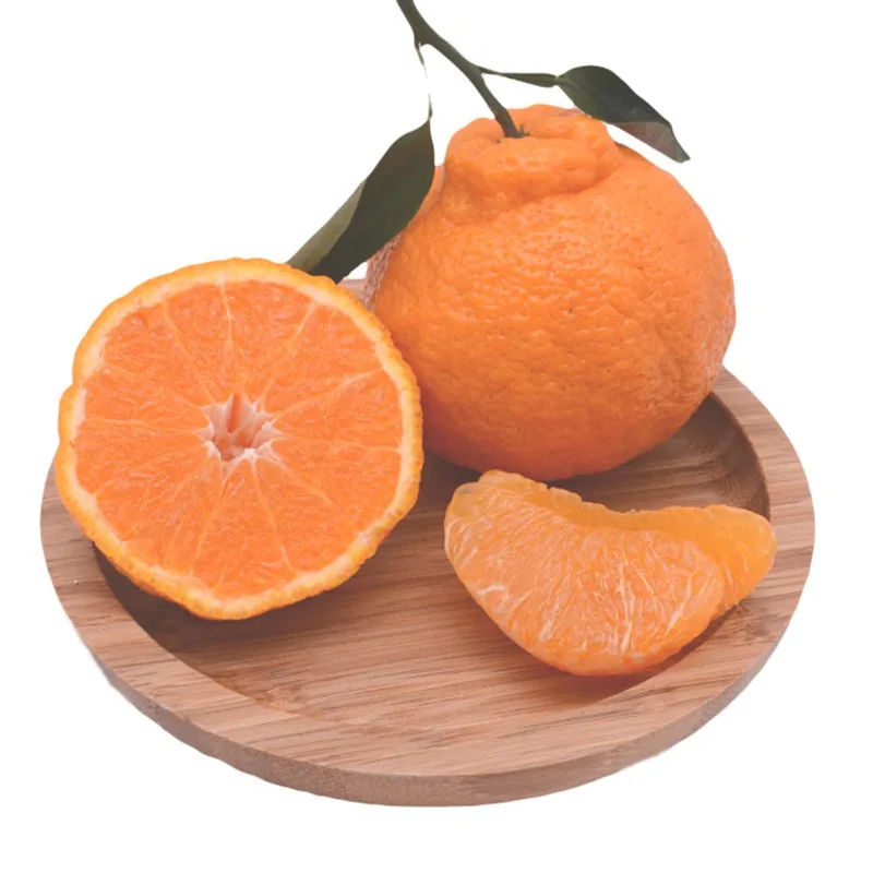 Pure Organic good quality fresh fruit mandarin orange fresh citrus fruit Fresh Mandarin Orange tangerine