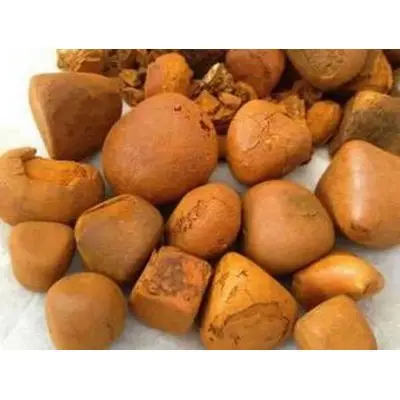 Корова желчный камни бык коровий камень экстракты животного
