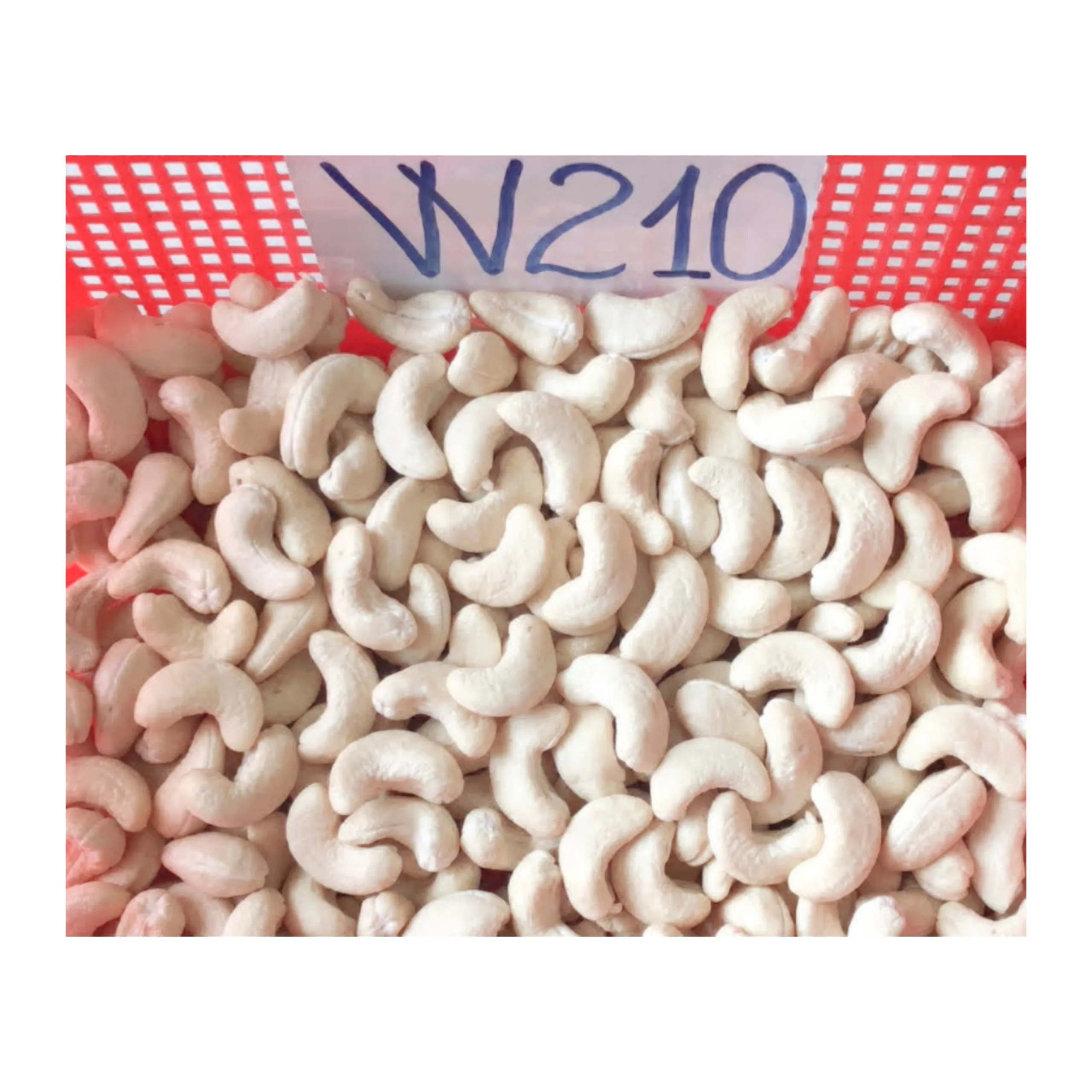 Vietnamese high quality cashew nuts at the best price - Please contact Ms. Krystal (Whatsapp +84587176063) for more information 99 Gold Data