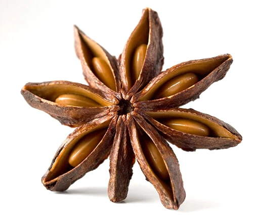 WS +84359166896 No.1 Vietnamese Star Anise With High Oil Content And Super Dry Ready To Ship New Crop Best Choice Good Price