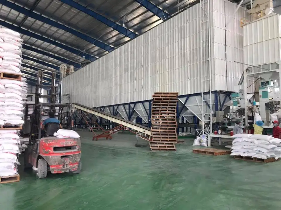 RICE FACTORY (3)