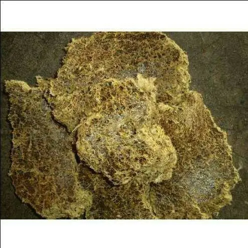 
Cotton oil seed cake 