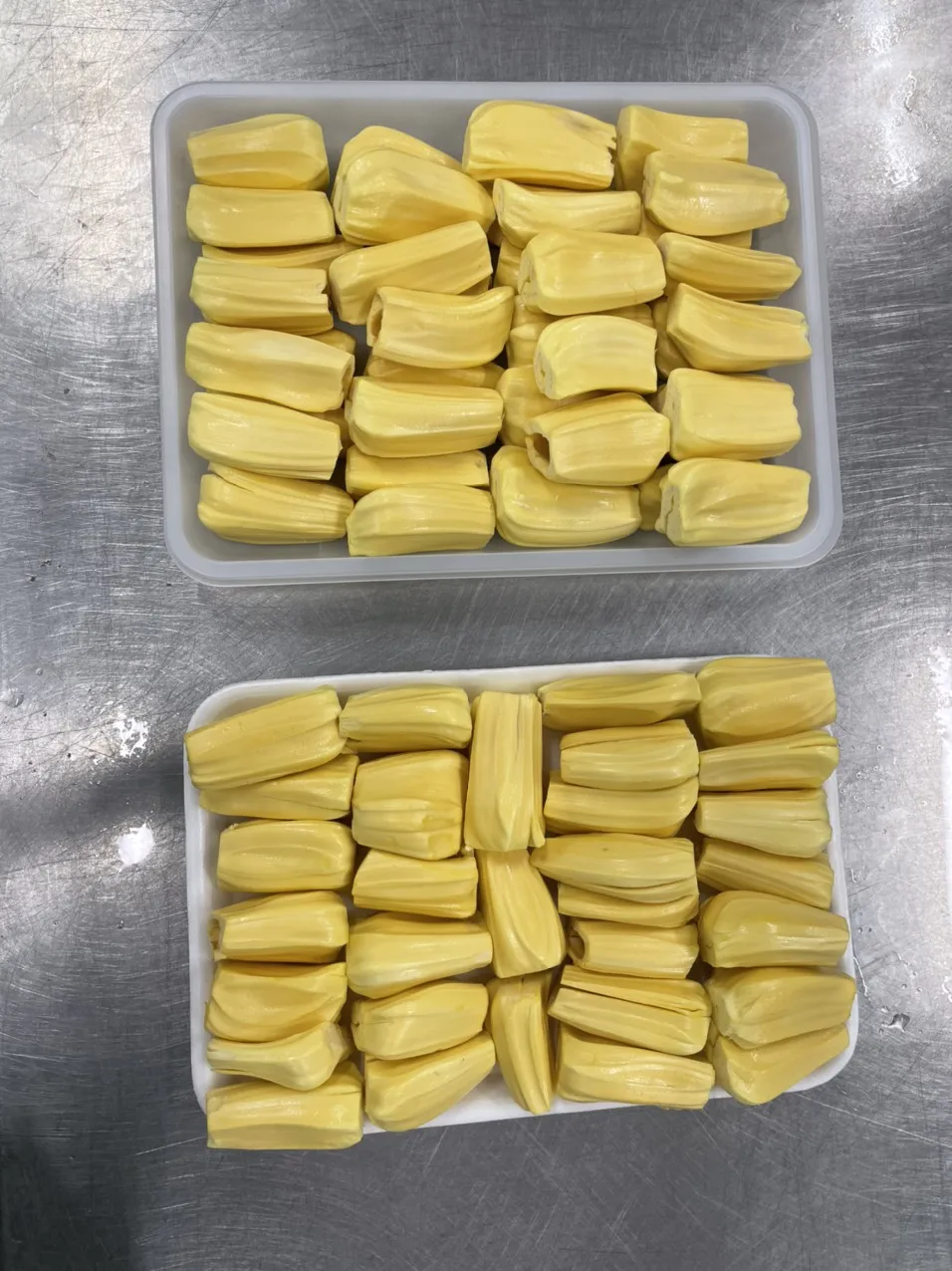 unripe jackfruit 500gr packing per tray for daily use best choice 2021