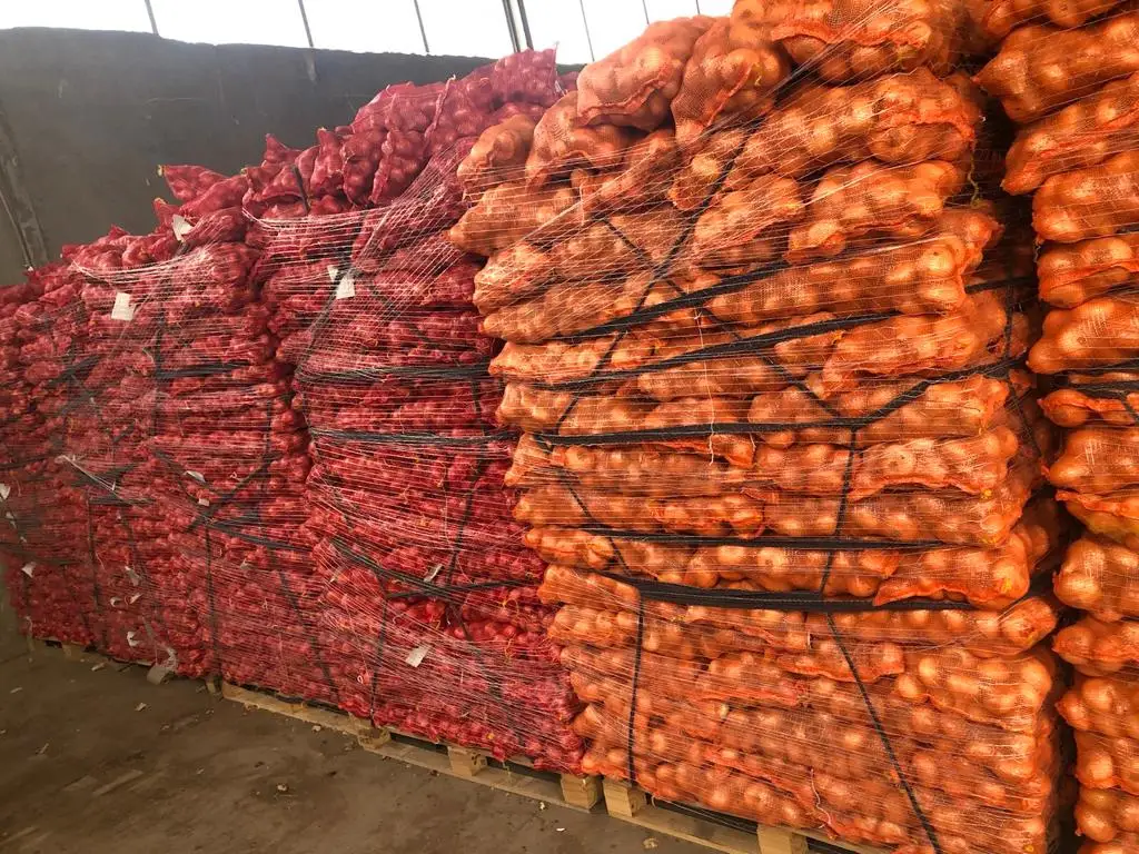 Fresh Yellow onions