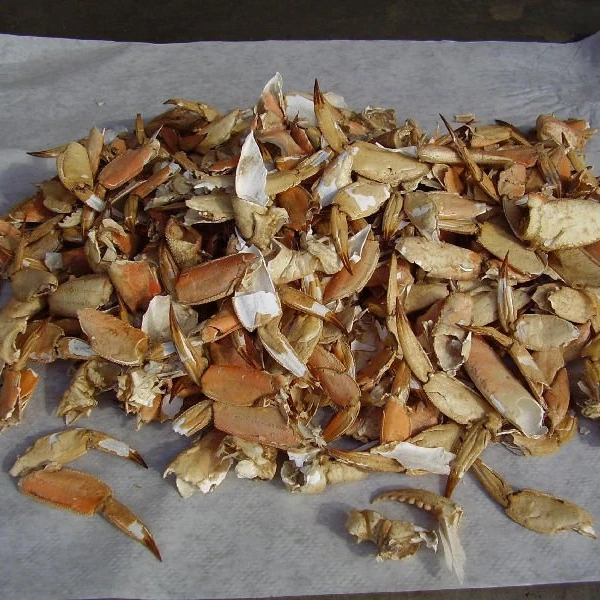 
beautiful crab shell/clean and polished crab shell/ seashell ( 0084587176063 whatsap Sandy) 