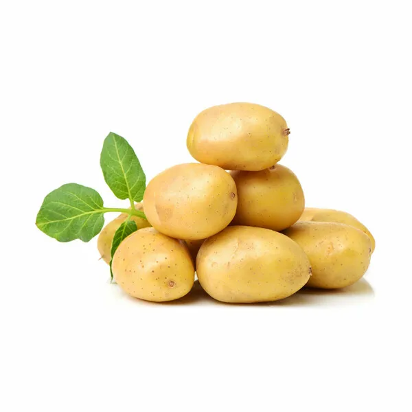 
HIGH QUALITY Fresh Potatoes for export 