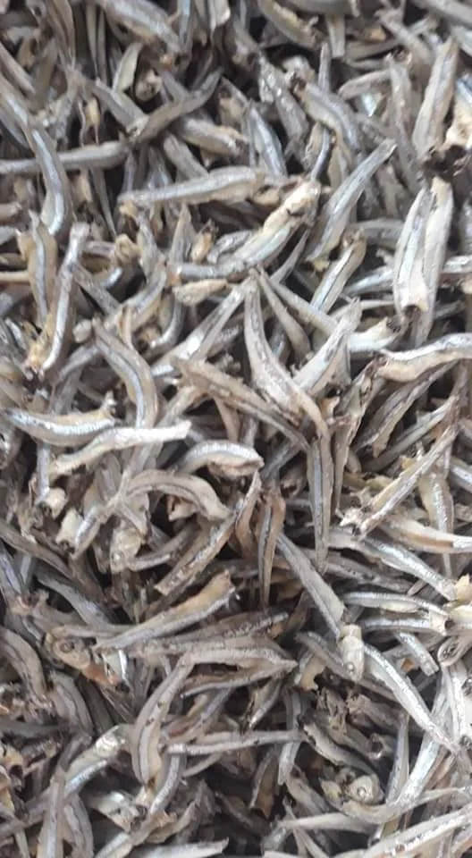 Сушеный СПАТ/сушеный на солнце рыба Анчоуса из Вьетнама по хорошей цене // Sven + 84 966722357