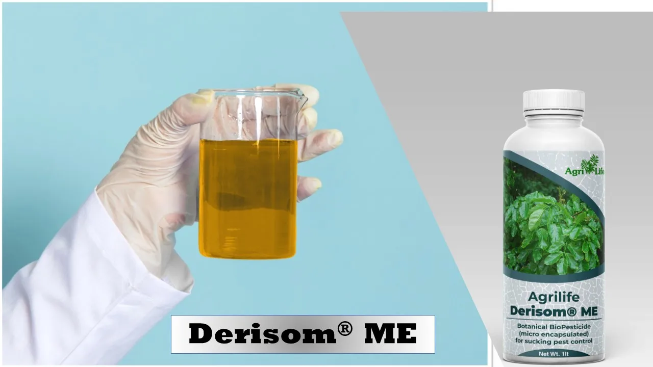 
Best Quality Bio Pesticide Prevent Soil Borne Diseases Botanical BioPesticide For Pest Control Indian Supplier 