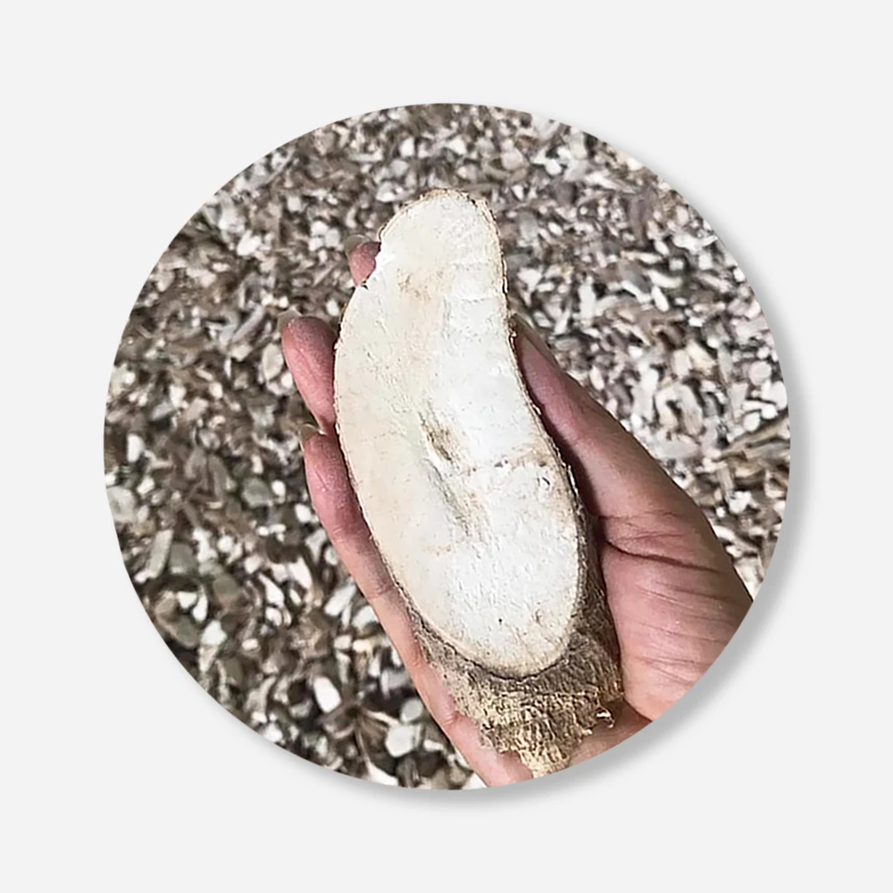 Best Seller Thai Dried Cassava Chips For Food Industry or Making Animal Feed and Ethanol