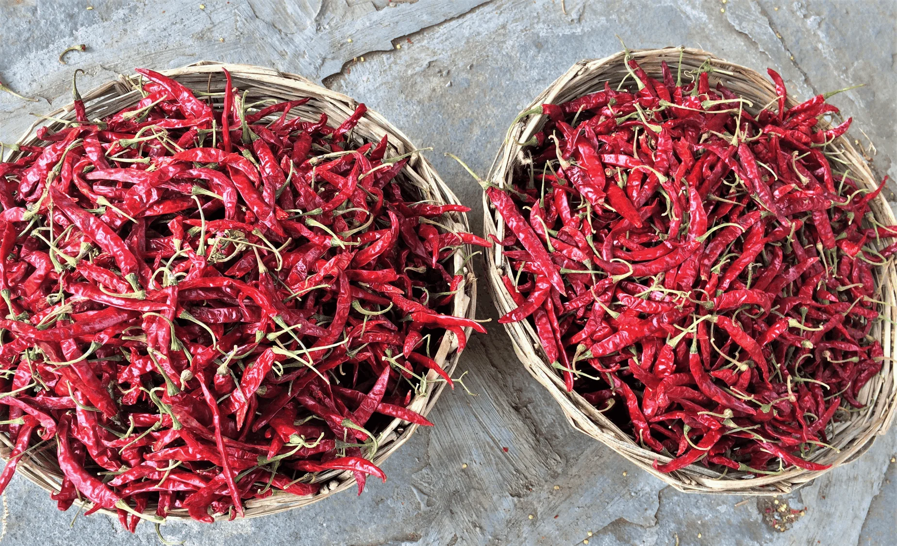Indian Guntur Chilli exporter