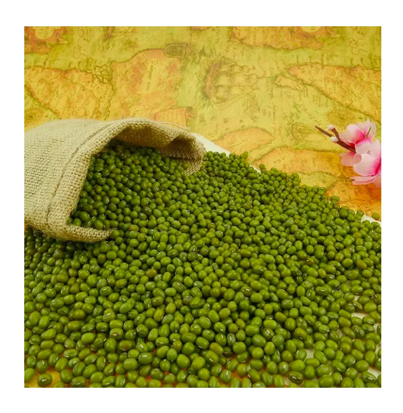 
Green Mung Bean/Moong Dal Seed/Sprouting Seeds Mung Bean 
