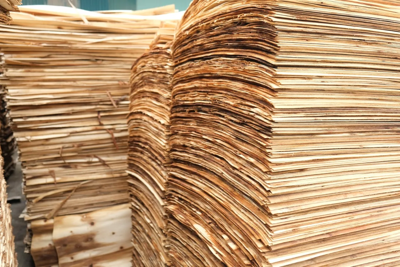 Vietnam high quality good price plywood veneer grade A, B, C with T/T L/C payment method