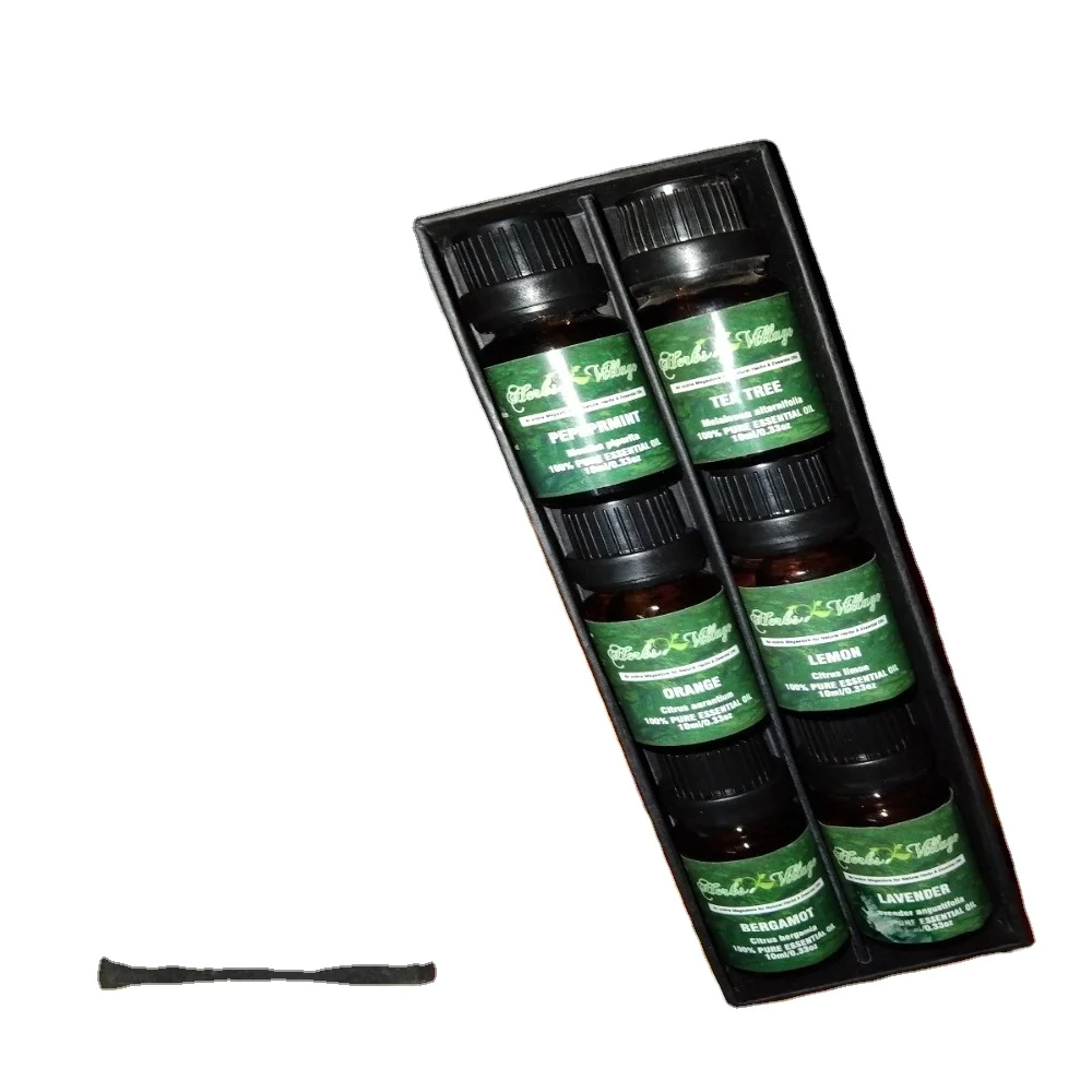 Aromatherapy Essential Oils Set Reed Diffuser Oil Premium Natural Top 6 100 Pure Car Kitchen Mint OEM Item Packaging Air Bedroom