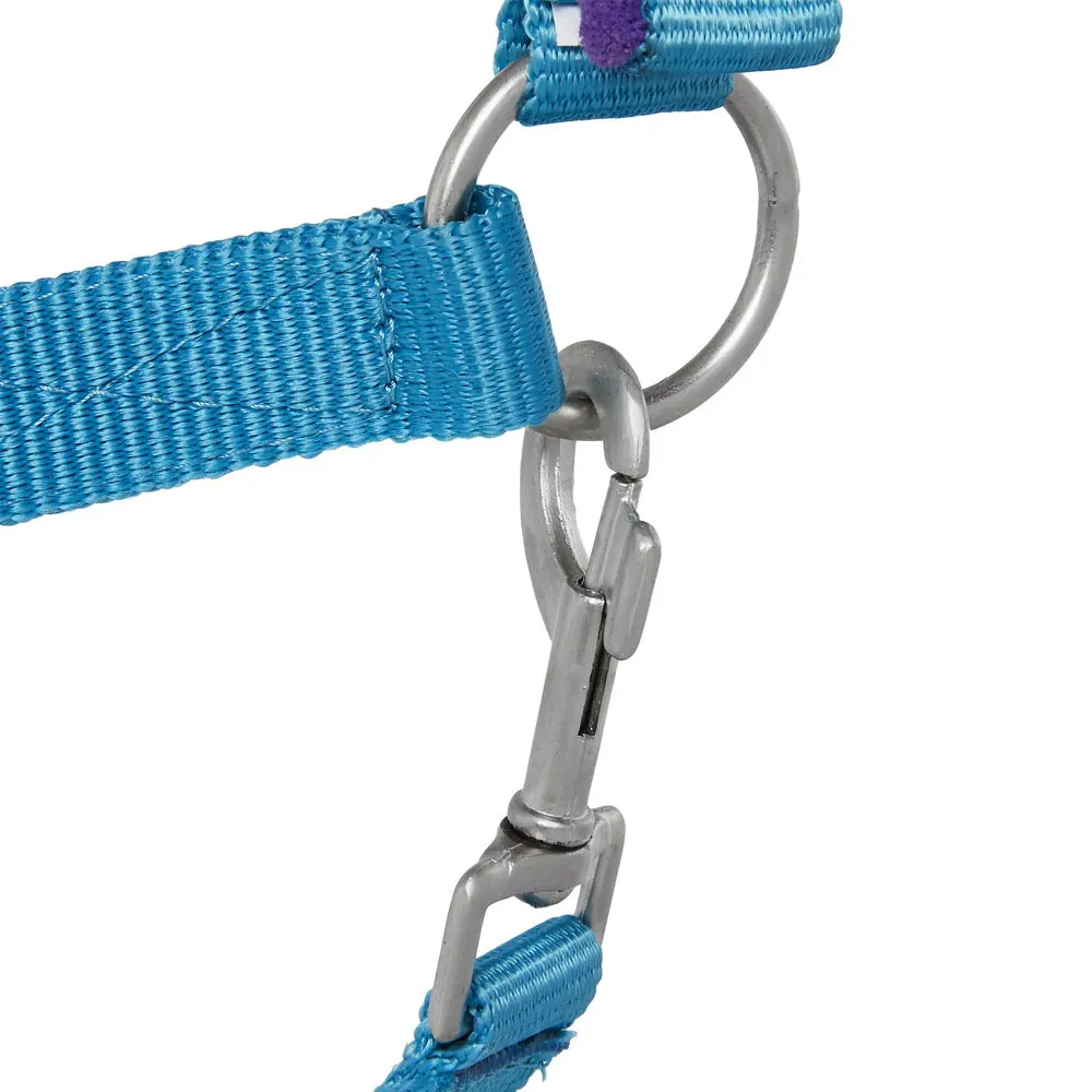 Premium Quality Personalize Horse Lead Rope Halter Available In All Colors / Factory Direct Supplier Horse Halter