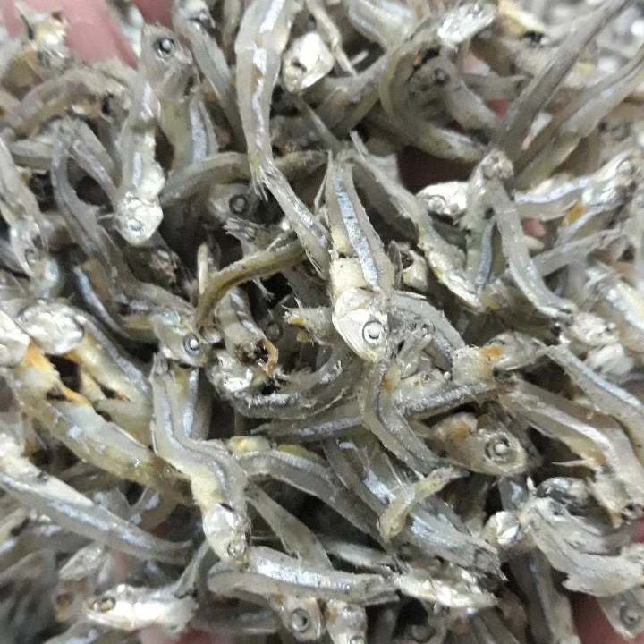BEST QUALITY ANCHOVY FISH/ DRIED FISH / Katie +84352310575
