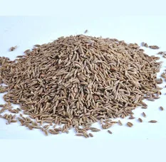 
Caraway Seed Reasonable Price SD Drying Process Single Herbs & Spices Fennel & Aniseed Raw Poem Available 2020 Granule ISO 
