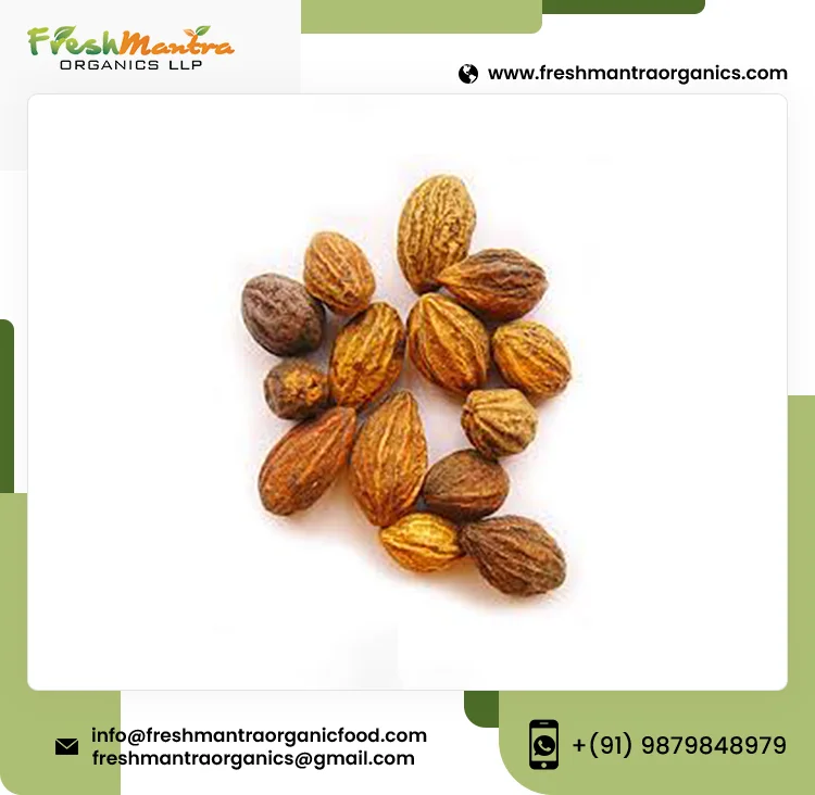 100% Organic Haritaki Seed Extract Powder With 24 Months Longer Shelf Life