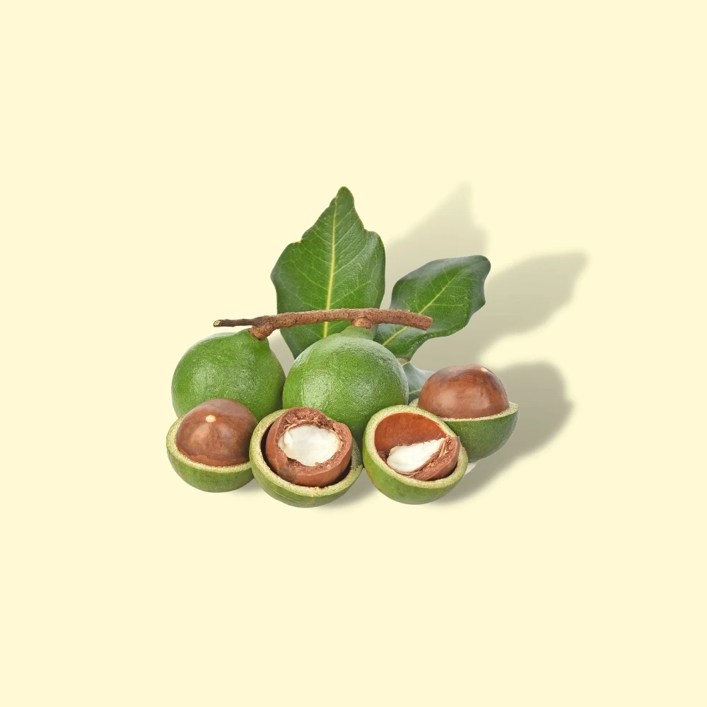 Лучшая цена жареные закуски из макадамии вьетнамские чипсы орех