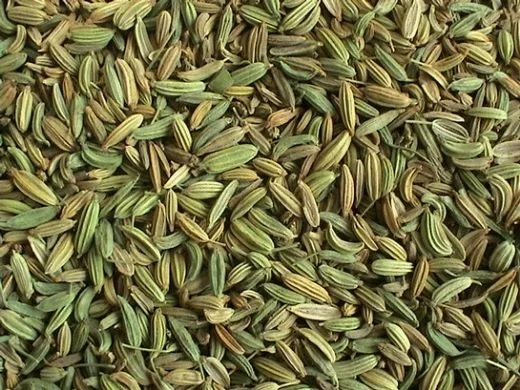 High Quality Fennel Seed