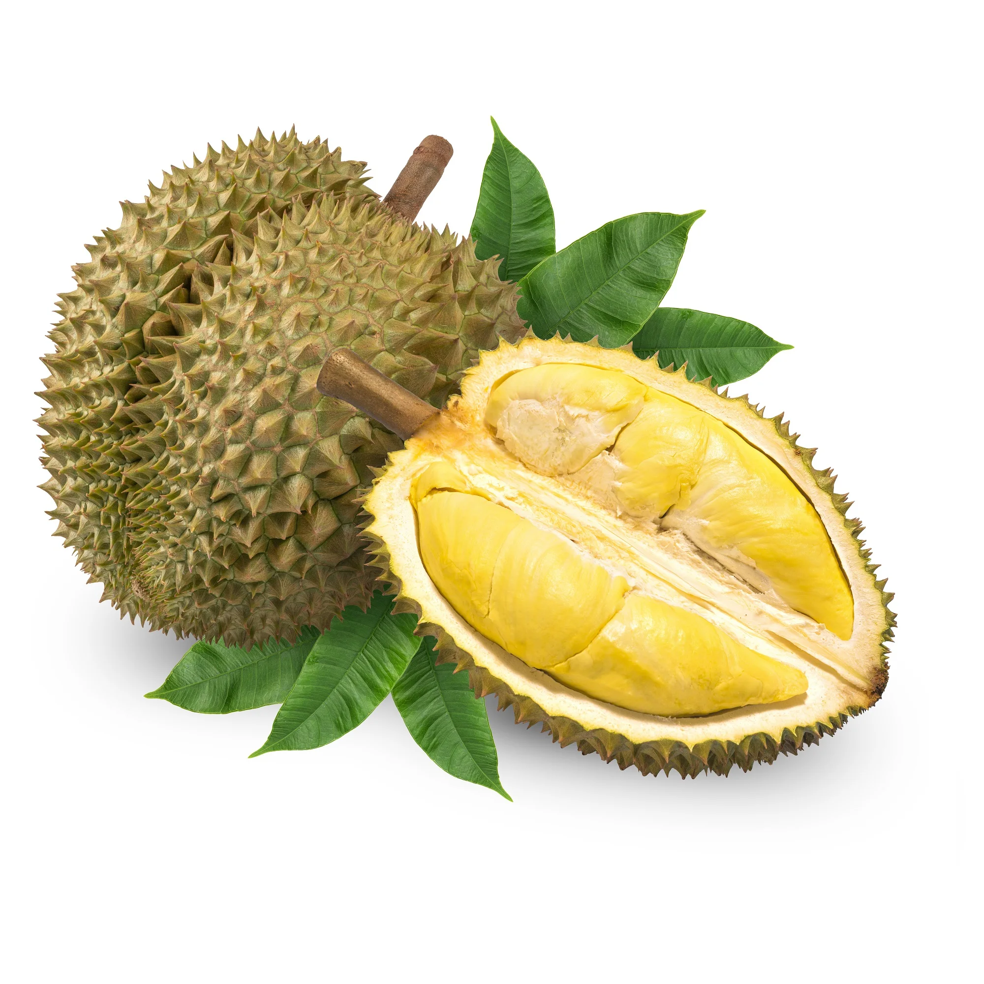 Оптовая цена-Премиум IQF MONTHONG/ RI6 DURIAN урожай из Вьетнама/мисс Триш + 84 984 696 874