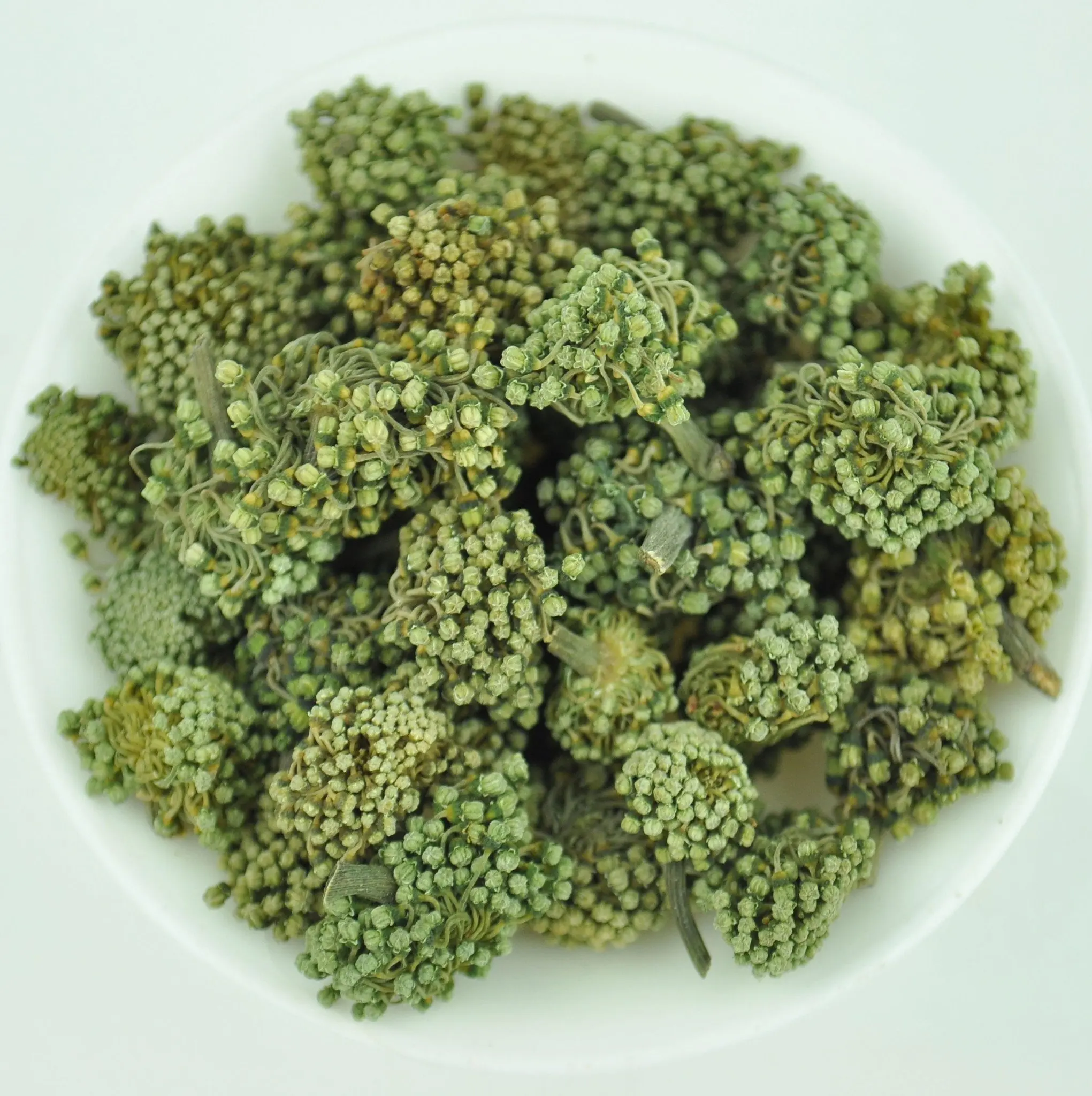 Panax Ginseng Flower/ Panax pseudoginseng Nees