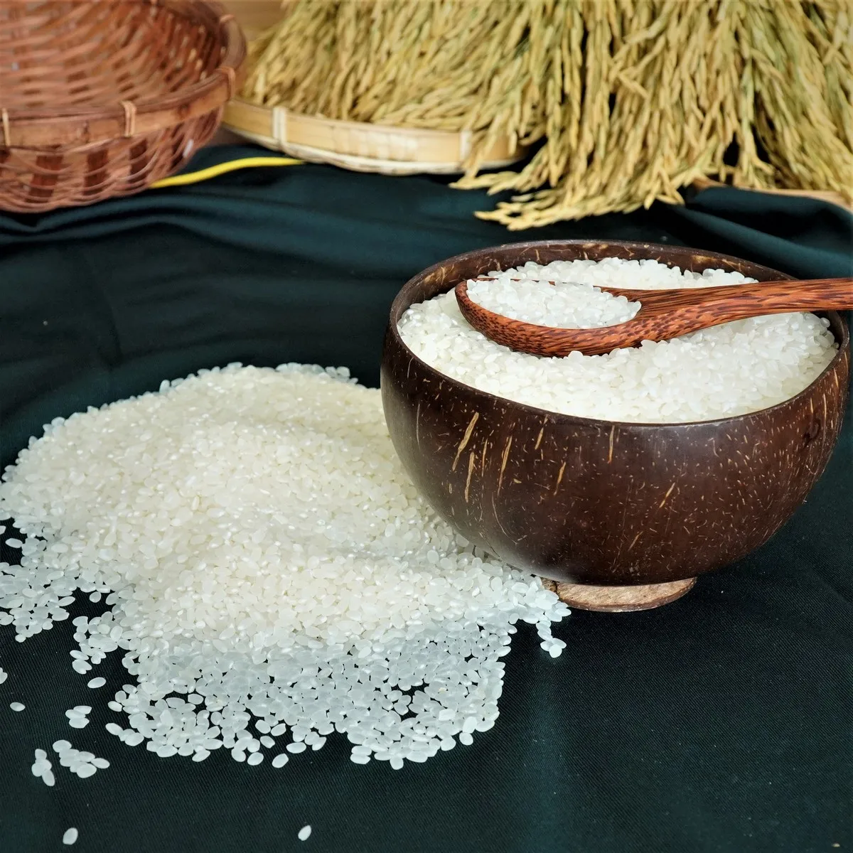 Wholesale Premium Grade Quality Short & Round Rice White Color Japonica Rice DS1from Vietnam Best Supplier